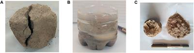 Principle and practice of hydraulic softening top-cutting and pressure relief technology in weakly cemented strata